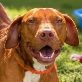 41 Bruno